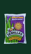 Semilla césped alta tolerancia